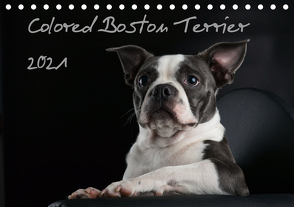 Colored Boston Terrier 2021 (Tischkalender 2021 DIN A5 quer) von Kassat Fotografie,  Nicola