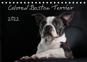 Colored Boston Terrier 2022 (Tischkalender 2022 DIN A5 quer) von Kassat Fotografie,  Nicola