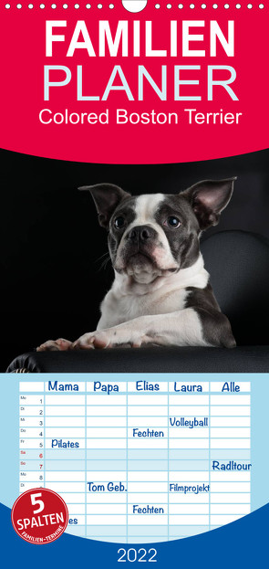 Familienplaner Colored Boston Terrier 2022 (Wandkalender 2022 , 21 cm x 45 cm, hoch) von Kassat Fotografie,  Nicola