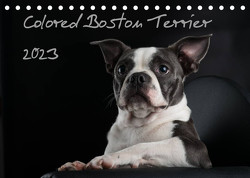 Colored Boston Terrier 2023 (Tischkalender 2023 DIN A5 quer) von Kassat Fotografie,  Nicola