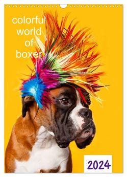 colorful world of boxer 2024 (Wandkalender 2024 DIN A3 hoch), CALVENDO Monatskalender von Mielke,  Kerstin