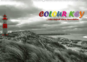 Colour Key …oder einfach etwas hervorgehoben (Wandkalender 2020 DIN A2 quer) von N.,  N.