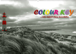 Colour Key …oder einfach etwas hervorgehoben (Wandkalender 2021 DIN A2 quer) von N.,  N.