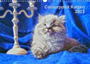 Colourpoint Katzen 2023 (Wandkalender 2023 DIN A3 quer) von Säume,  Sylvia