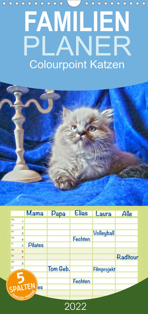 Familienplaner Colourpoint Katzen (Wandkalender 2022 , 21 cm x 45 cm, hoch) von Säume,  Sylvia