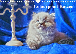 Colourpoint Katzen (Wandkalender 2022 DIN A4 quer) von Säume,  Sylvia