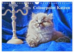 Colourpoint Katzen (Wandkalender 2024 DIN A4 quer), CALVENDO Monatskalender von Säume,  Sylvia