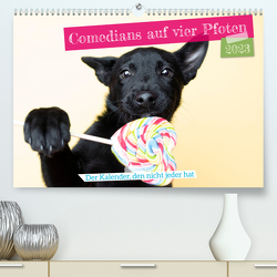 Comedian Dogs- der Kalender, den nicht jeder hat (Premium, hochwertiger DIN A2 Wandkalender 2023, Kunstdruck in Hochglanz) von Bellyeu,  Katrin