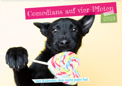 Comedian Dogs- der Kalender, den nicht jeder hat (Wandkalender 2023 DIN A2 quer) von Bellyeu,  Katrin