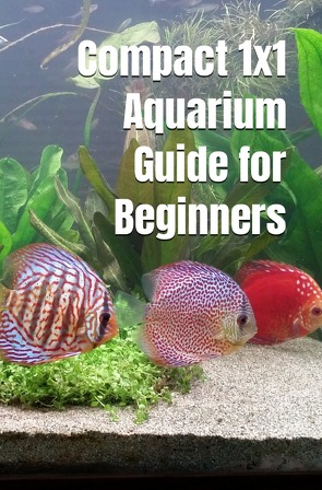 Compact 1×1 Aquarium Guide for Beginners von Hawk,  Thorsten