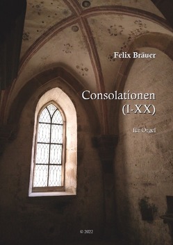Consolationen I-XX von Bräuer,  Felix