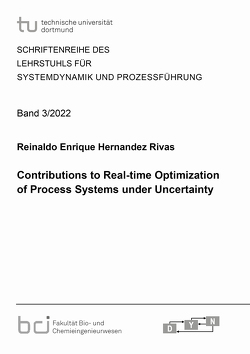 Contributions to Real-time Optimization of Process Systems under Uncertainty von Hernandez Rivas,  Reinaldo Enrique
