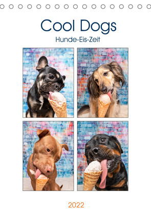 Cool Dogs – Hunde-Eis-Zeit (Tischkalender 2022 DIN A5 hoch) von Teßen,  Sonja