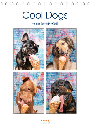 Cool Dogs – Hunde-Eis-Zeit (Tischkalender 2023 DIN A5 hoch) von Teßen,  Sonja