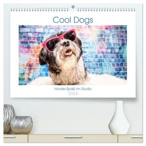 Cool Dogs – Hunde-Spaß im Studio (hochwertiger Premium Wandkalender 2024 DIN A2 quer), Kunstdruck in Hochglanz von Teßen,  Sonja