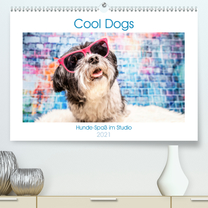 Cool Dogs – Hunde-Spaß im Studio (Premium, hochwertiger DIN A2 Wandkalender 2021, Kunstdruck in Hochglanz) von Teßen,  Sonja