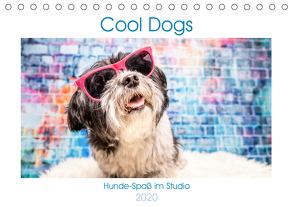 Cool Dogs – Hunde-Spaß im Studio (Tischkalender 2020 DIN A5 quer) von Teßen,  Sonja