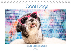 Cool Dogs – Hunde-Spaß im Studio (Tischkalender 2022 DIN A5 quer) von Teßen,  Sonja