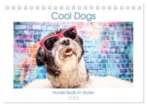 Cool Dogs – Hunde-Spaß im Studio (Tischkalender 2024 DIN A5 quer), CALVENDO Monatskalender von Teßen,  Sonja