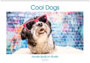 Cool Dogs – Hunde-Spaß im Studio (Wandkalender 2020 DIN A2 quer) von Teßen,  Sonja