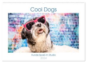 Cool Dogs – Hunde-Spaß im Studio (Wandkalender 2024 DIN A2 quer), CALVENDO Monatskalender von Teßen,  Sonja