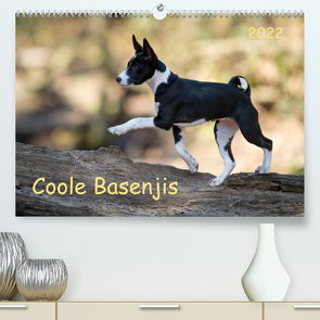 Coole Basenjis (Premium, hochwertiger DIN A2 Wandkalender 2022, Kunstdruck in Hochglanz) von Joswig,  Angelika