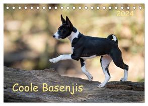 Coole Basenjis (Tischkalender 2024 DIN A5 quer), CALVENDO Monatskalender von Joswig,  Angelika