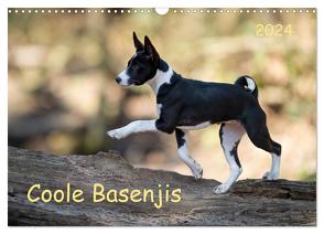 Coole Basenjis (Wandkalender 2024 DIN A3 quer), CALVENDO Monatskalender von Joswig,  Angelika