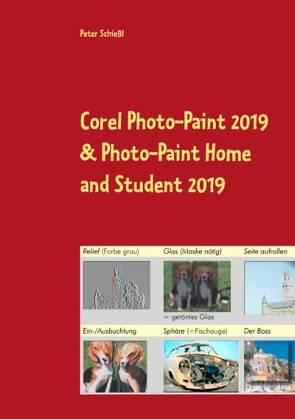 Corel Photo-Paint 2019 & Photo-Paint Home and Student 2019 von Schiessl,  Peter