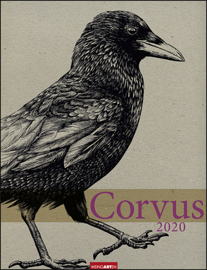 Corvus Kalender 2020 von Weingarten