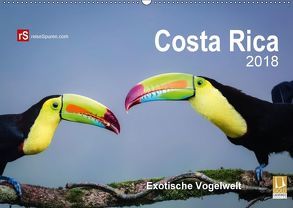 Costa Rica 2018 Exotische Vogelwelt (Wandkalender 2018 DIN A2 quer) von Bergwitz,  Uwe