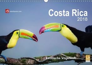 Costa Rica 2018 Exotische Vogelwelt (Wandkalender 2018 DIN A3 quer) von Bergwitz,  Uwe
