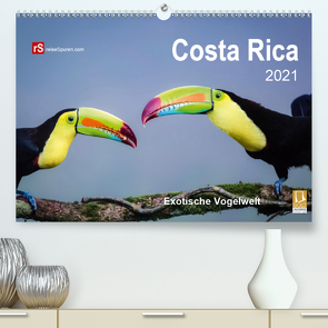 Costa Rica 2021 Exotische Vogelwelt (Premium, hochwertiger DIN A2 Wandkalender 2021, Kunstdruck in Hochglanz) von Bergwitz,  Uwe