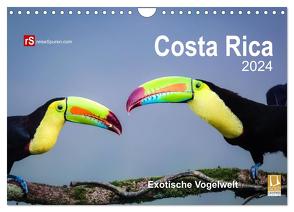 Costa Rica 2024 Exotische Vogelwelt (Wandkalender 2024 DIN A4 quer), CALVENDO Monatskalender von Bergwitz,  Uwe