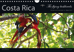 Costa Rica Blickwinkel 2024 (Wandkalender 2024 DIN A4 quer), CALVENDO Monatskalender von flying bushhawks,  The