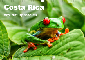 Costa Rica – das Naturparadies (Wandkalender 2019 DIN A3 quer) von Nowak,  Oliver