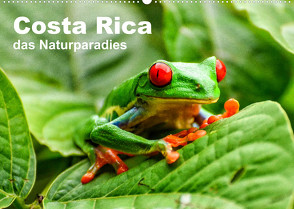 Costa Rica – das Naturparadies (Wandkalender 2023 DIN A2 quer) von Nowak,  Oliver