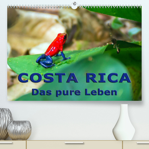 Costa Rica – das pure Leben (Premium, hochwertiger DIN A2 Wandkalender 2022, Kunstdruck in Hochglanz) von Berlin, Schoen,  Andreas