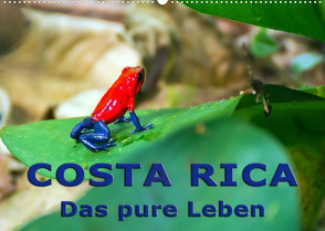 Costa Rica – das pure Leben (Wandkalender 2023 DIN A2 quer) von Berlin, Schoen,  Andreas