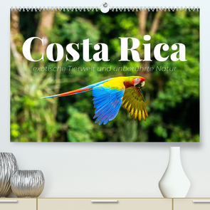 Costa Rica – exotische Tierwelt und unberührte Natur (Premium, hochwertiger DIN A2 Wandkalender 2024, Kunstdruck in Hochglanz) von Monkey,  Happy