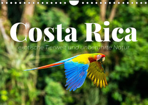 Costa Rica – exotische Tierwelt und unberührte Natur (Wandkalender 2024 DIN A4 quer) von Monkey,  Happy