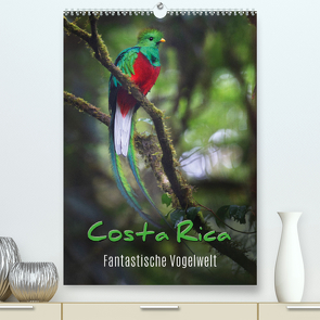 Costa Rica – Fantastische Vogelwelt (Premium, hochwertiger DIN A2 Wandkalender 2023, Kunstdruck in Hochglanz) von Eßer,  Kevin