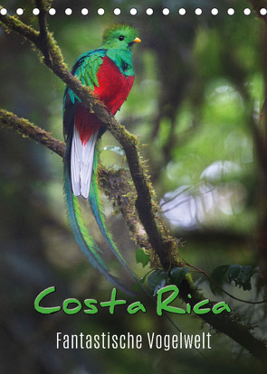 Costa Rica – Fantastische Vogelwelt (Tischkalender 2023 DIN A5 hoch) von Eßer,  Kevin