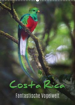 Costa Rica – Fantastische Vogelwelt (Wandkalender 2023 DIN A2 hoch) von Eßer,  Kevin