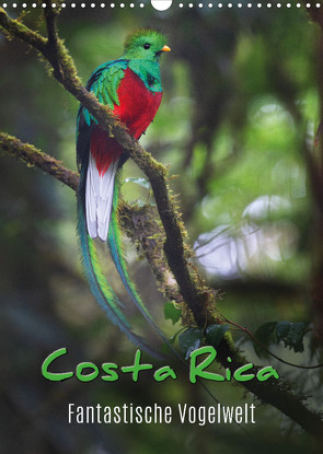 Costa Rica – Fantastische Vogelwelt (Wandkalender 2023 DIN A3 hoch) von Eßer,  Kevin
