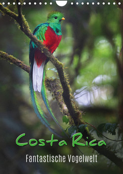 Costa Rica – Fantastische Vogelwelt (Wandkalender 2023 DIN A4 hoch) von Eßer,  Kevin