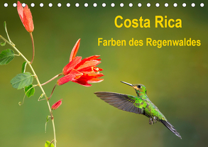Costa Rica – Farben des Regenwaldes (Tischkalender 2020 DIN A5 quer) von Akrema-Photography