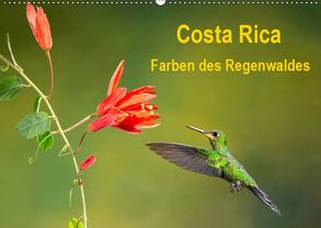 Costa Rica – Farben des Regenwaldes (Wandkalender 2019 DIN A2 quer) von Akrema-Photography