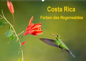 Costa Rica – Farben des Regenwaldes (Wandkalender 2020 DIN A2 quer) von Akrema-Photography