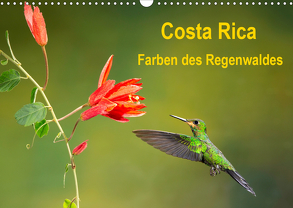Costa Rica – Farben des Regenwaldes (Wandkalender 2020 DIN A3 quer) von Akrema-Photography